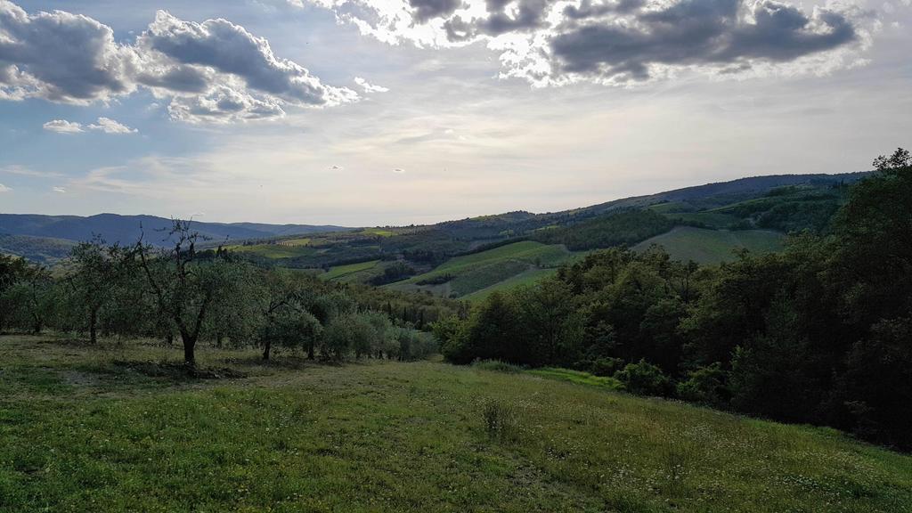 Holiday House Le Selvole Radda in Chianti Exterior photo