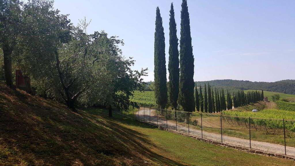 Holiday House Le Selvole Radda in Chianti Exterior photo