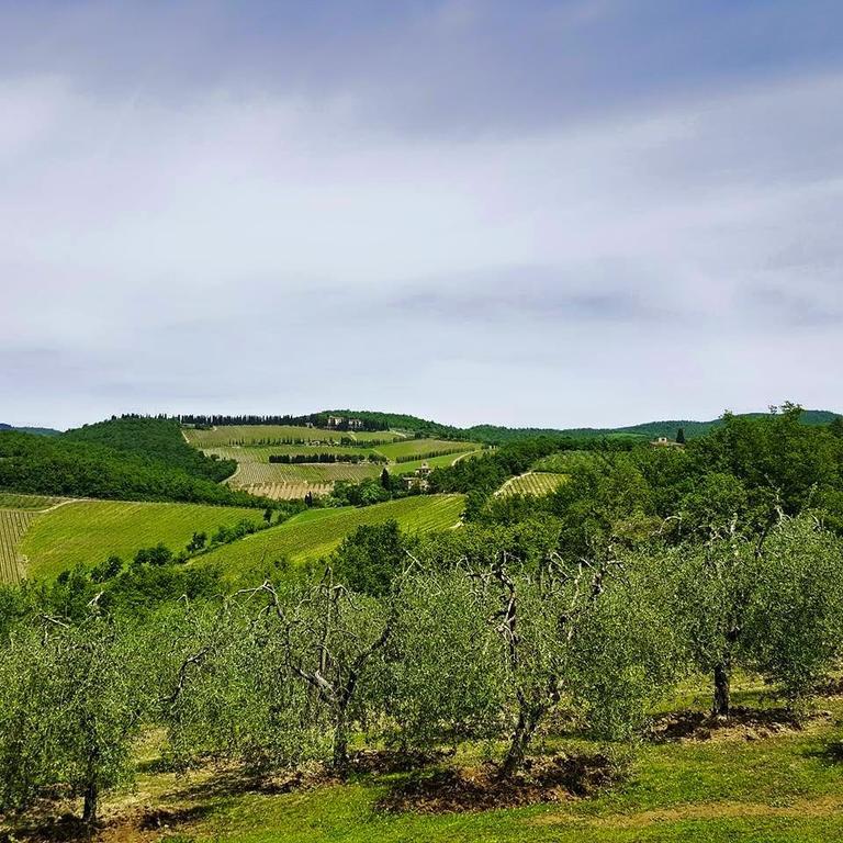 Holiday House Le Selvole Radda in Chianti Room photo