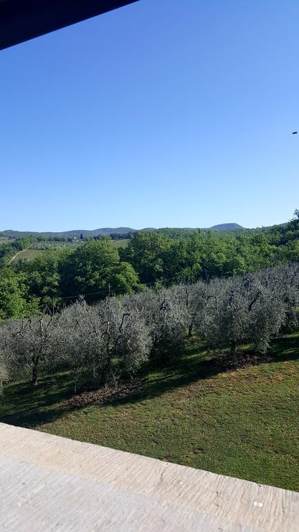 Holiday House Le Selvole Radda in Chianti Exterior photo