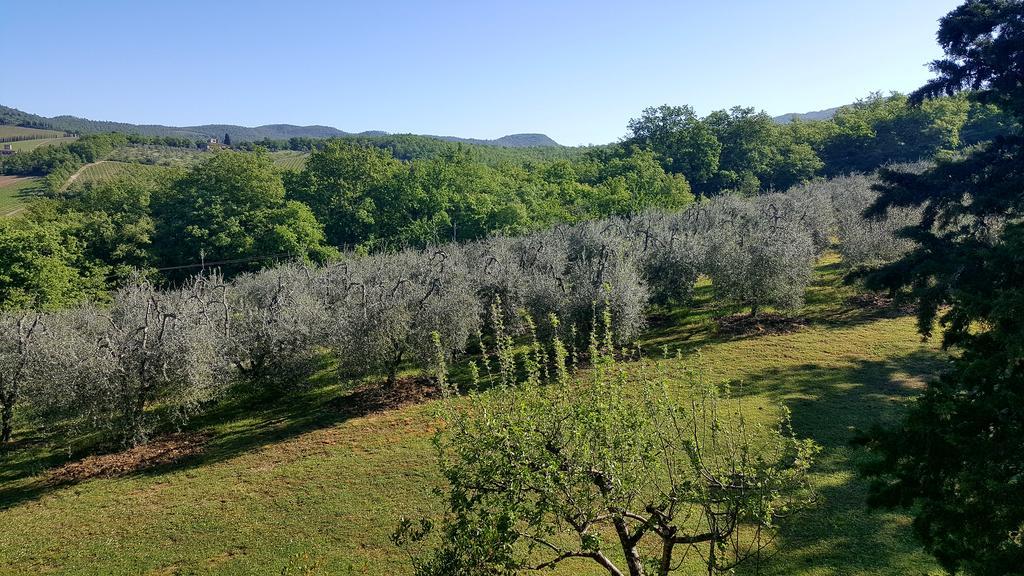 Holiday House Le Selvole Radda in Chianti Exterior photo
